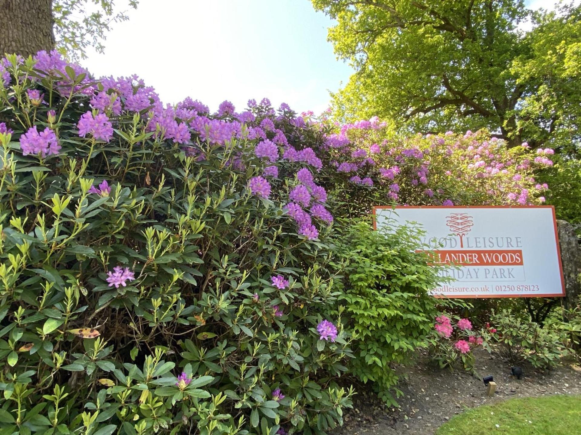 Callander Woods Holiday Park Eksteriør bilde